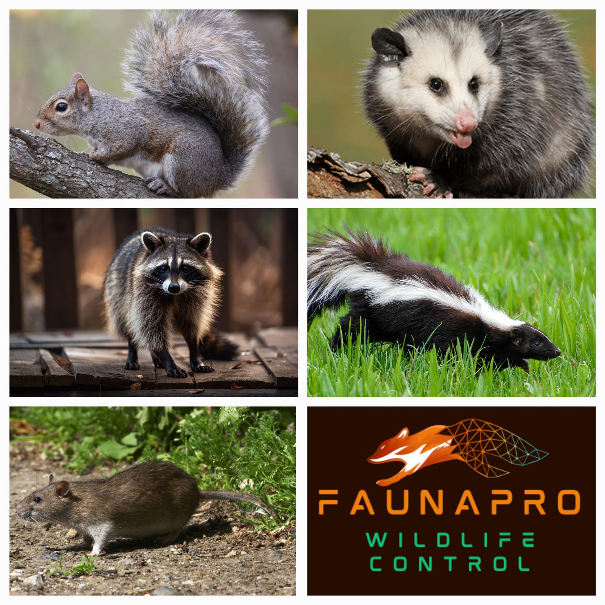 faunpro wildlife