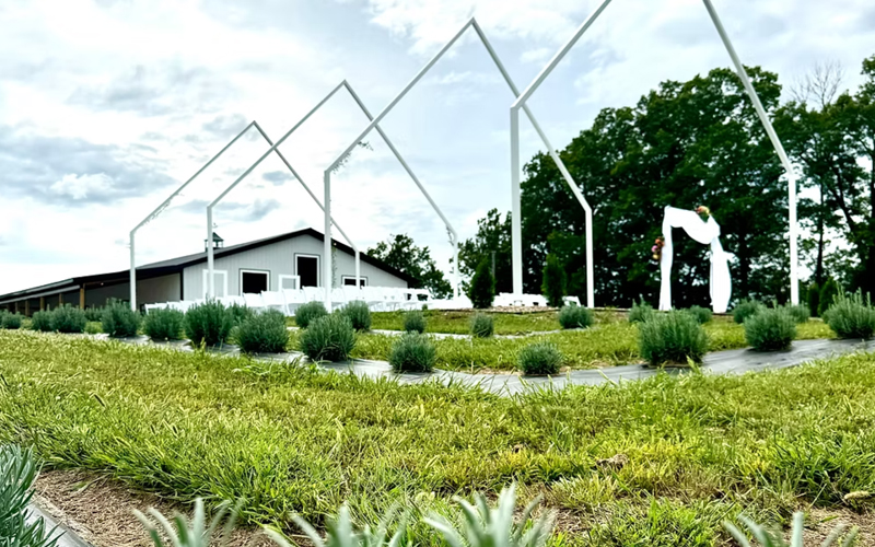 bloom-ridge-farm.jpg
